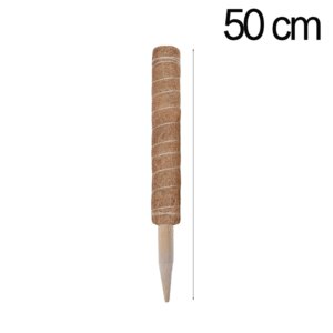 1PC 30/40/50cm Moss Pole for Indoor Climbing Plants Creepers to Grow Upwards Plant Support with Garden Ties