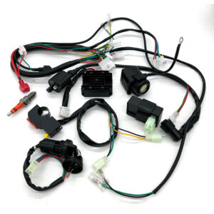 Complete Electrics Wiring Harness Spark Plug CDI Ignition Coil Kit For Chinese Dirt Bike 125cc-250cc ATV UTV Quad Go Kart
