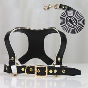 Cat Harness Leash Adjustable Harness Vest Leash Collar Puppy Small Medium Dog Outdoor Strap Belt Walking Small Medium-sized Dog