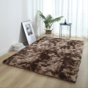 VIKAMA Mixed Color Tie-Dye Gradient Carpet Living Room Coffee Table Mat Plush Washable Full Bedroom Modern Nordic Carpet