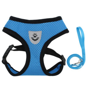 New Pet Walking Gog Walking Cat Chest Strap Outdoor Traction Rope Collar Breathable Mesh Traction Rope