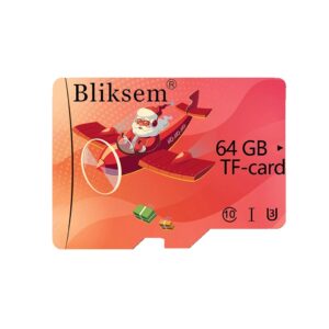 Bliksem Memory Card 32GB 64GB 128GB for Mobile Phone Computer Drone Surveillance Device TF Card 32G 64GB Mini SD Flash Card