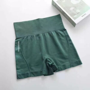 High Waist Sports Women’s Fitness Shorts Seamless Thin Sports Shorts Women’s Cycling Jogging Fitness jingu