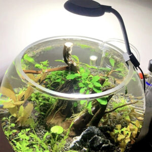 Fish tank USB small clip light mini LED lighting high brightness aquarium water grass light supplementary light transparent clip