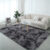 VIKAMA Gradient Plush Carpet Large Area Living Room Decoration Home Fluffy Soft Bedroom Carpet Non-Slip Sofa Coffee Table Mat