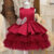 Kids Dress for Girl 2024 New Christmas Female Children Party Tutu Prom Dresses Princess Birthday Prom Clothes Cute Baby Girls