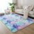 VIKAMA Mixed Color Tie-Dye Gradient Carpet Living Room Coffee Table Mat Plush Washable Full Bedroom Modern Nordic Carpet