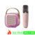 K12 Bluetooth Karaoke Machine Portable  5.3 PA Speaker System with 1-2 Wireless Microphones Home Family Singing Children’s Gifts