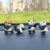 4-piece Cartoon Kung Fu Panda Car Decoration Souvenir DIY Garden Landscape Mini Action Statue Home Desktop Decoration