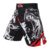 black dragon Eagle subtitles sports breathable boxing training pants mma short kickboxing shorts short muay thai boxeo