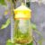 Reusable Plastic Fruit Fly Catcher Trap Bottle Bait Lure Insect Pest Four Hole Fruit Fly Trap