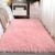 Dirty-Resistant And Easy To Dry Bedroom Bedside Blanket, Large Living Room Rug, Girl’s Room, Dorm Room, Boarding House Floor Mat