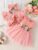 Baby Baby Baby Summer Style Waist Flower Vest Mesh Dress Jacket Hair Accessories