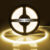 DC12V 24V 10m 5m COB LED Strip Light 320 LEDs/m High Density Flexible Led tape Ribbon 3000-6500K RA90 Led Lights 3.2ft-16.4ft