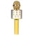 WS858 Professional Handheld Wireless Karaoke Microphone USB Speaker Microphone for Kids Music Player Singing Recorder KTV
